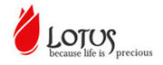 Lotus